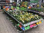 OBI Markt Lauf - Eingangsbereich