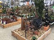 OBI Markt Lauf - Gartendeko