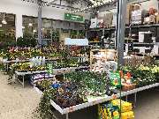 OBI Markt Lauf - Gartendeko