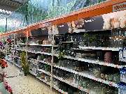 OBI Markt Lauf - Pflanzen