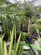 OBI Markt Lehrte - GALLERY