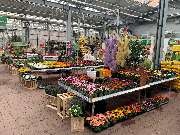 OBI Markt Lehrte - GALLERY