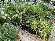 OBI Markt Lehrte - GALLERY