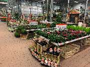 OBI Markt Lehrte - GALLERY