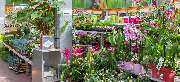 OBI Markt Lehrte - GALLERY