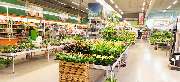 OBI Markt Leingarten - GALLERY