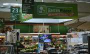 OBI Markt Leingarten - Zimmerpflanzen