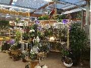 OBI Markt Leipzig-Burghausen - OBI Parkplatz Leipzig-Burghausen