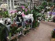 OBI Markt Leipzig-Burghausen - OBI Windfang Leipzig-Burghausen