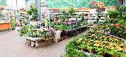 OBI Markt Leonberg - OBI Gartencenter Leonberg