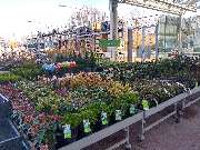 OBI Markt Lichtenfels - Autozubehör