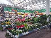 OBI Markt Lichtenfels - Gartencenter