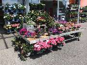 OBI Markt Lichtenfels - OBI Markt Lichtenfels