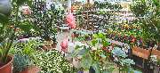 OBI Markt Lindau - OBI Gartencenter Lindau