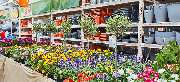 OBI Markt Lindau - OBI Gartencenter Lindau