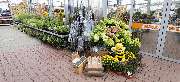 OBI Markt Lindlar - GALLERY