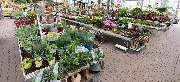 OBI Markt Lindlar - GALLERY