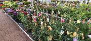 OBI Markt Lindlar - GALLERY