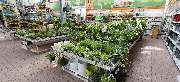 OBI Markt Lindlar - GALLERY