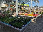 OBI Markt Lingen - OBI Baustoffhalle Lingen