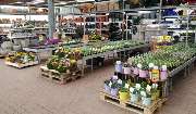 OBI Markt Löbau - Gartenfreifläche