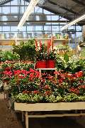 OBI Markt Lohr - OBI Gartenplaner Lohr