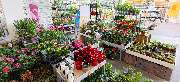 OBI Markt Ludwigshafen - OBI Gartencenter Ludwigshafen