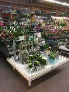 OBI Markt Lübben - Garten Innenbereich
