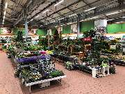 OBI Markt Magdeburg - Gartencenter Warmhalle Frühjahr 2019