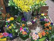 OBI Markt Massen-Finsterwalde - Frühjahr 2020