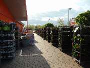 OBI Markt Massen-Finsterwalde - Geranienfest 2019