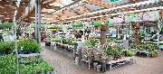 OBI Markt Massen-Finsterwalde - OBI Gartencenter Massen-Finsterwalde