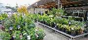 OBI Markt Massen-Finsterwalde - OBI Gartencenter Massen-Finsterwalde