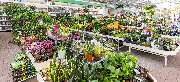 OBI Markt Mayen - OBI Gartencenter Mayen