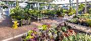 OBI Markt Mayen - OBI Gartencenter Mayen