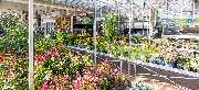 OBI Markt Mayen - OBI Gartencenter Mayen