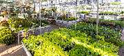 OBI Markt Mayen - OBI Gartencenter Mayen
