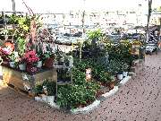 OBI Markt Meerane - Alles für Ihren Garten