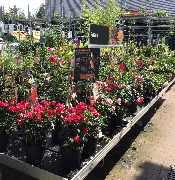 OBI Markt Meerane - Freigelände