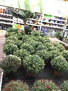 OBI Markt Meerane - OBI Gartencenter Meerane