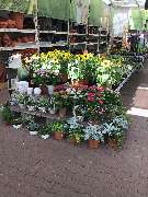 OBI Markt Meerane - OBI Parkplatz Meerane