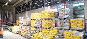 OBI Markt Meißen - GALLERY