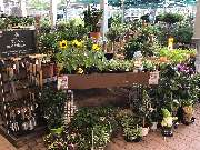 OBI Markt Merseburg - Gartendeko Sommer 2020