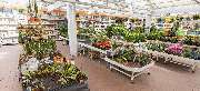 OBI Markt Meschede - OBI Gartencenter Meschede