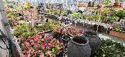 OBI Markt Meschede - OBI Gartencenter Meschede