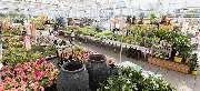 OBI Markt Meschede - OBI Gartencenter Meschede