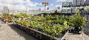 OBI Markt Meschede - OBI Gartencenter Meschede