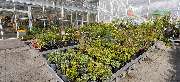 OBI Markt Meschede - OBI Gartencenter Meschede
