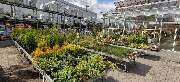 OBI Markt Meschede - OBI Gartencenter Meschede