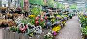 OBI Markt Mössingen - GALLERY